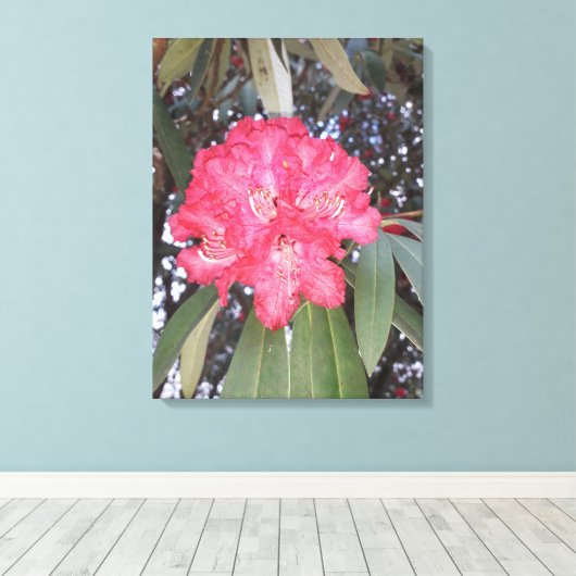 Rote Blume Leinwanddruck (Insitu (Holzboden))