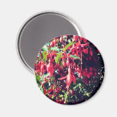 Rote Blume Magnet (Vorderseite/Rückseite)