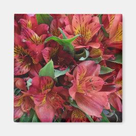 Rote Blume Magnet