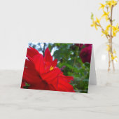 Rote Blume mit Gelbzentrum Karte (Gelbe Blume)