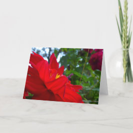 Rote Blume mit Gelbzentrum Karte