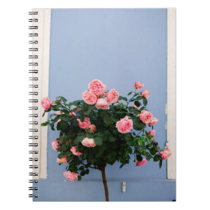 Rote Blume mit grünen Blätter an der blauen Wand Notizblock