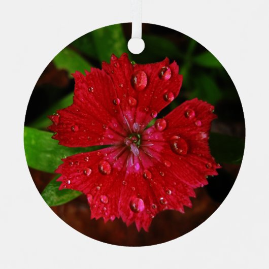 Rote Blume mit Raindrops-Foto Ornament Aus Metall (Vorderseite)