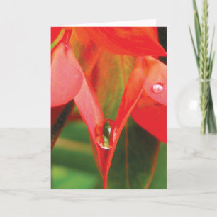 Rote Blume mit tiefer sinnlicher Natur Karte