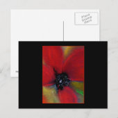 Rote Blume, Mohn. Postkarte (Vorne/Hinten)