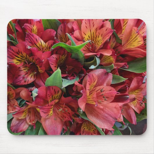 Rote Blume Mousepad (Vorne)