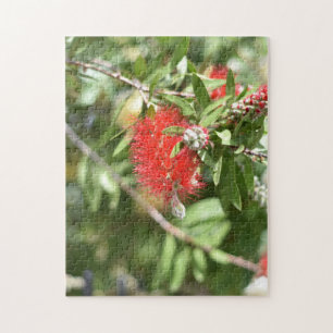 Rote Blume Naturfotografie Garten Puzzle