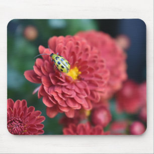 Rote Blume Naturfotografie Käfer Insektenfehler Mousepad