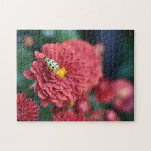 Rote Blume Naturfotografie Käfer Insektenfehler Puzzle