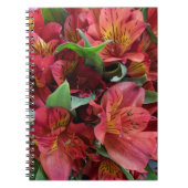 Rote Blume Notizblock (Vorderseite)