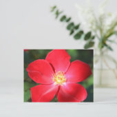 Rote Blume Nr. 1 Postkarte (Stehend Vorderseite)