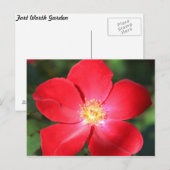 Rote Blume Nr. 1 Postkarte (Vorne/Hinten)