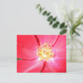 Rote Blume Nr. 4 Postkarte (Stehend Vorderseite)
