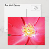Rote Blume Nr. 4 Postkarte (Vorne/Hinten)