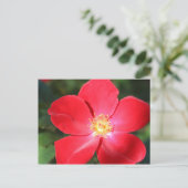 Rote Blume Nr. 5 Postkarte (Stehend Vorderseite)