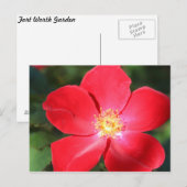 Rote Blume Nr. 5 Postkarte (Vorne/Hinten)