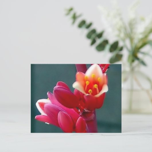 rote Blume öffnet Postkarte (Stehend Vorderseite)