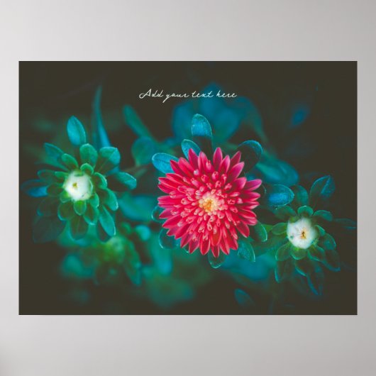 Rote Blume Poster (Vorne)