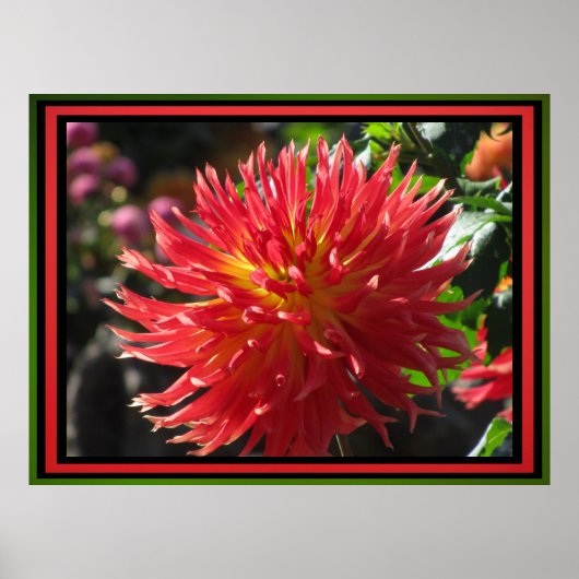 Rote Blume Poster (Vorne)