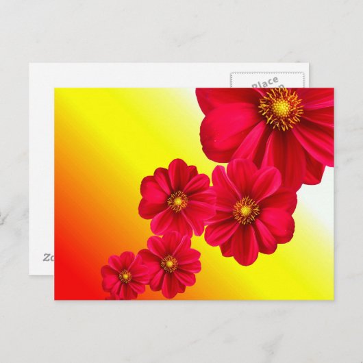 Rote Blume Postkarte (Vorne/Hinten)