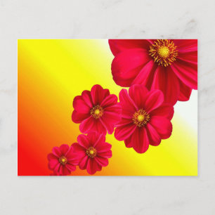 Rote Blume Postkarte