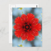 Rote Blume Postkarte (Vorne/Hinten)