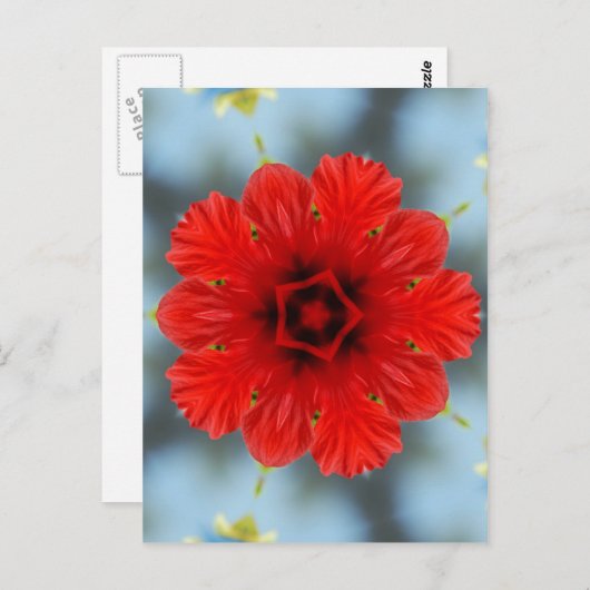 Rote Blume Postkarte (Vorne/Hinten)