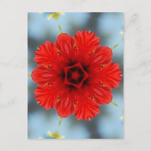 Rote Blume Postkarte (Vorderseite)
