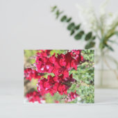 Rote Blume Postkarte (Stehend Vorderseite)