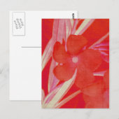 Rote Blume Postkarte (Vorne/Hinten)