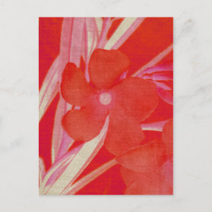 Rote Blume Postkarte