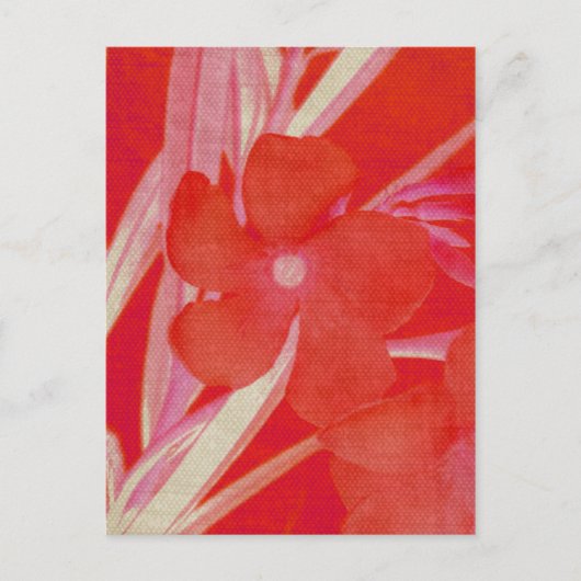 Rote Blume Postkarte (Vorderseite)