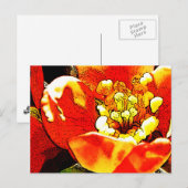 Rote Blume Postkarte (Vorne/Hinten)