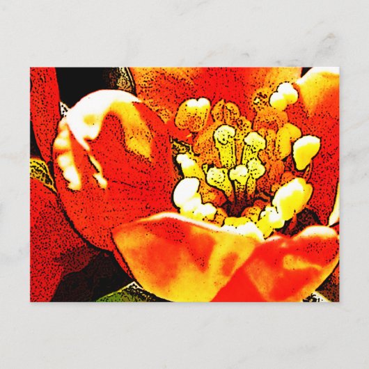 Rote Blume Postkarte (Vorderseite)