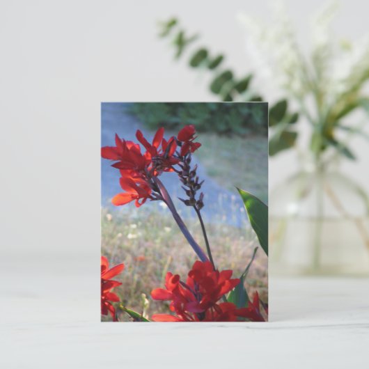 Rote Blume Postkarte (Stehend Vorderseite)