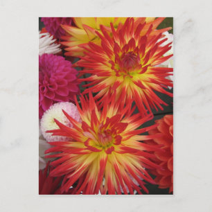 Rote Blume Postkarte