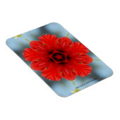 Rote Blume Premium Magnet (Rechte Seite)