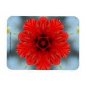 Rote Blume Premium Magnet (Horizontal)