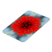 Rote Blume Premium Magnet (Linke Seite)