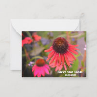 Rote Blume Save the Date zum Geburtstag einladen