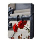 Rote Blume Schmiedeeisen New York City Fotografie Magnet (Vertikal)