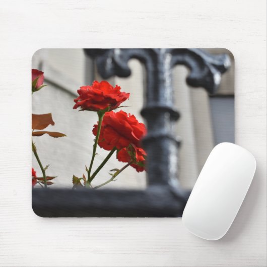 Rote Blume Schmiedeeisen New York City Fotografie Mousepad (Mit Mouse)