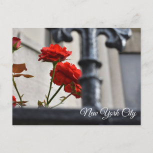 Rote Blume Schmiedeeisen New York City Fotografie Postkarte