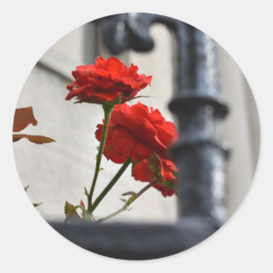 Rote Blume Schmiedeeisen New York City Fotografie Runder Aufkleber