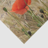 rote Blume Seidenpapier (Detail)