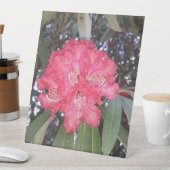 Rote Blume Sockelschild (In Situ)