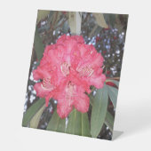 Rote Blume Sockelschild (Vorderseite)