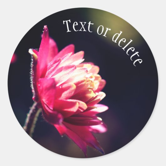 Rote Blume Sonnenlicht Personalisiert Runder Aufkleber (Vorderseite)