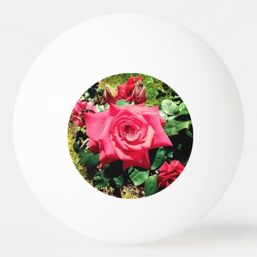 Rote Blume Tischtennisball (Vorderseite)