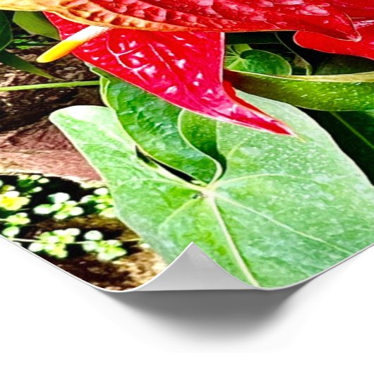 Rote Blume Tropischer Garten Poster (Ecke)